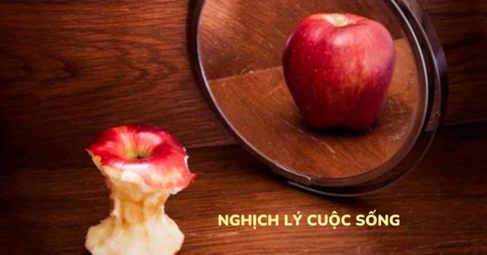 Nghịch lý không thể “Ngược Đời” hơn của người hiện đại